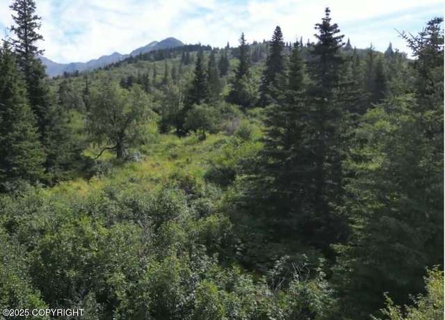 Property at L3 Panoramic Cir, Anchorage, AK 99516