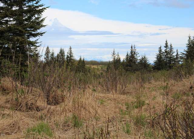 Property at 17354 Hyila Ln, Ninilchik, AK 99639