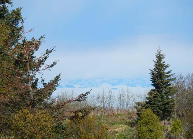 Property at 17286 Hyila Ln, Ninilchik, AK 99639