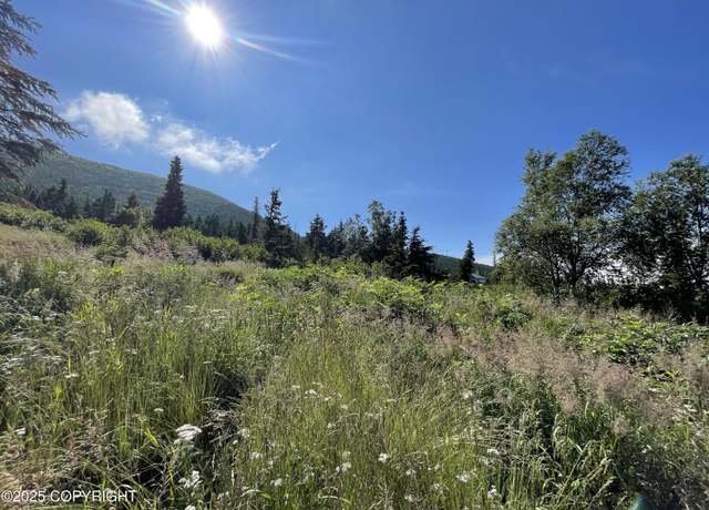 Property at L14A B10H Harwood Cir, Anchorage, AK 99516