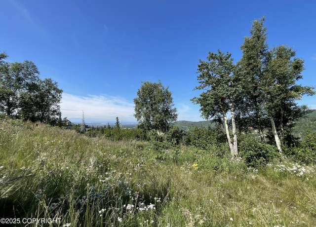 Property at L16A B10H Harwood Cir, Anchorage, AK 99516