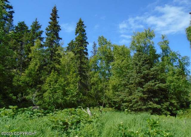 Property at L4 Stone Ridge Rd, Anchorage, AK 99516