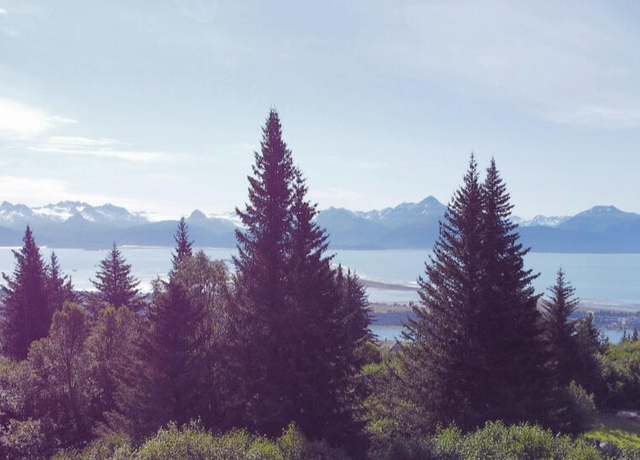 Property at 580 Fireweed Ave, Homer, AK 99603