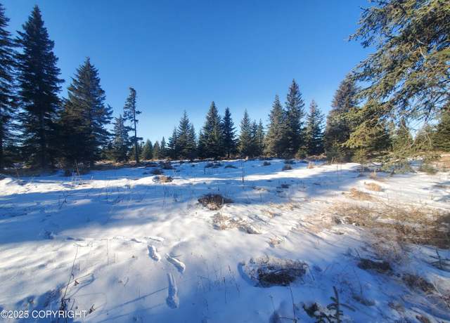 Property at 17438 Chefornak St, Ninilchik, AK 99639