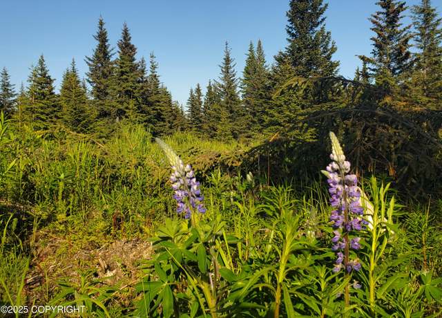 Property at 17438 Chefornak St, Ninilchik, AK 99639