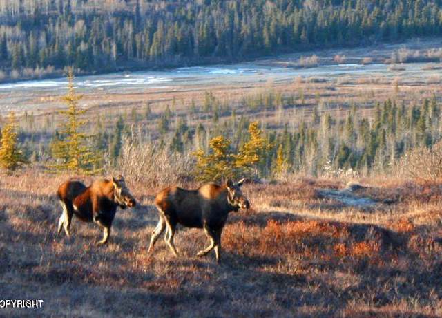 Property at L2 Purinton Creek Trl, Chickaloon, AK 99674