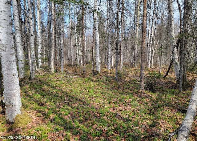 Property at 19859 E Caughtabigone Ave, Willow, AK 99688