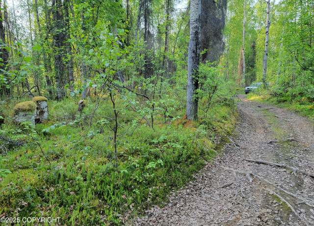 Property at 19859 E Caughtabigone Ave, Willow, AK 99688