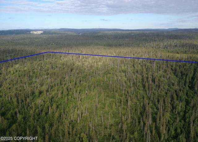 Property at Tr C Caribou Lake Trl, Homer, AK 99603