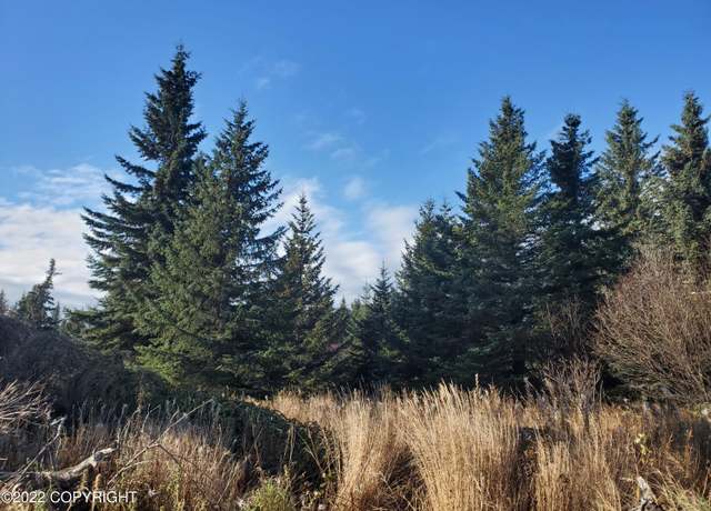Property at 17309 Kimeluk St, Ninilchik, AK 99639