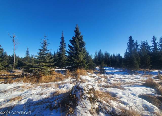 Property at 17436 Chefornak St, Ninilchik, AK 99639