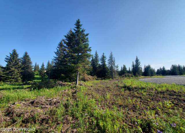 Property at 17436 Chefornak St, Ninilchik, AK 99639