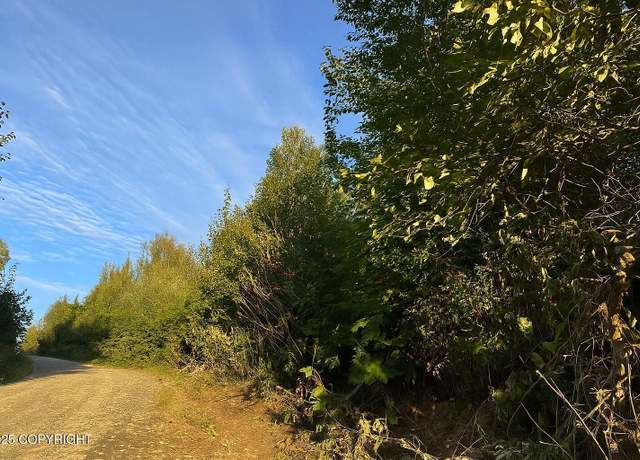 Property at 20528 E Rodnreel Ave, Willow, AK 99688