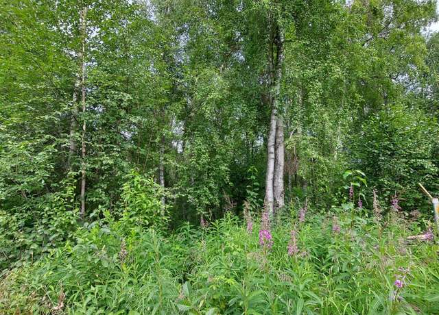 Property at B3 L1 S Jefferson St, Talkeetna, AK 99676