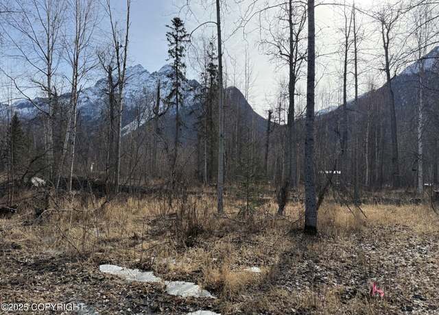 Property at 9085 S River Dr, Palmer, AK 99645