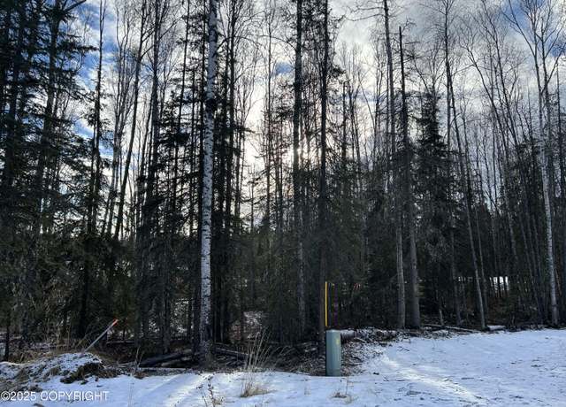 Property at 1101 N Brass Ring Dr, Wasilla, AK 99654