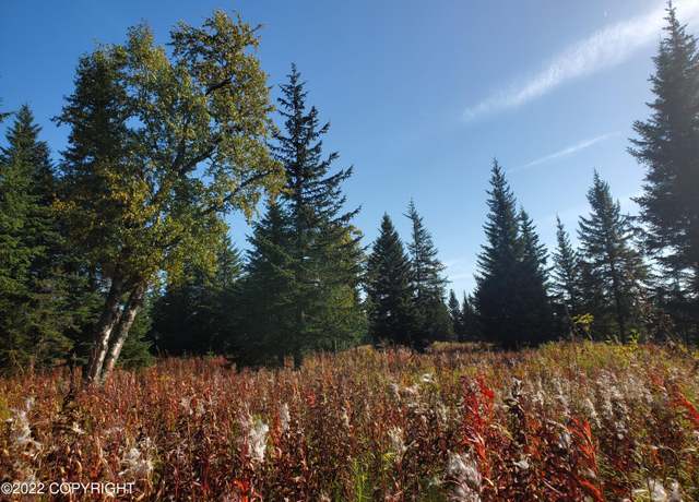 Property at 67756 Shavila Rd, Ninilchik, AK 99639