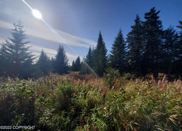 Property at 67761 Shavila Rd, Ninilchik, AK 99639