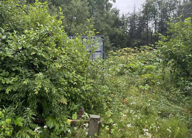 Property at 13128 W Purches Creek Rd, Willow, AK 99688