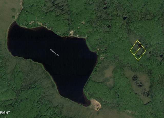 Property at L9 B5 Eksgiza Lake (No Road), Nenana, AK 99760