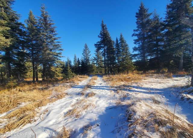 Property at 17435 Chefornak St, Ninilchik, AK 99639