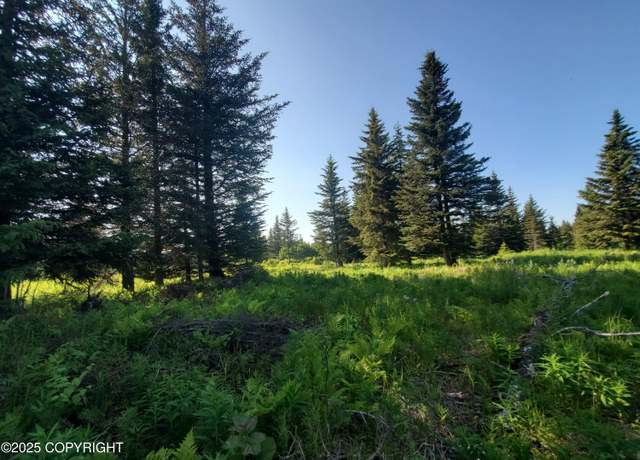 Property at 17435 Chefornak St, Ninilchik, AK 99639
