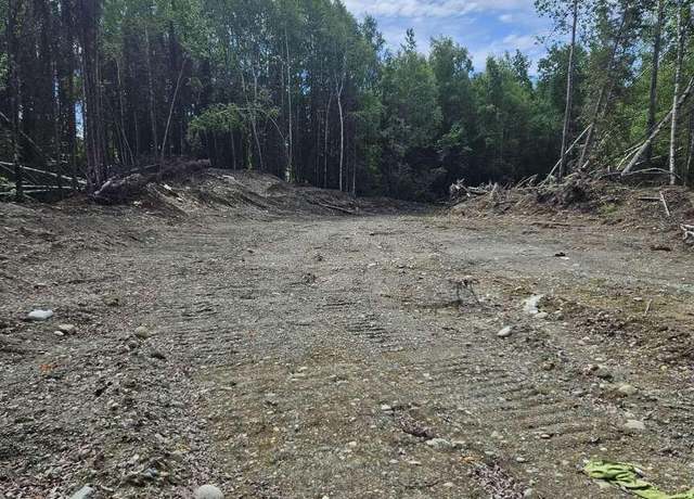 Property at 10267 N Buckingham Palace, Willow, AK 99688
