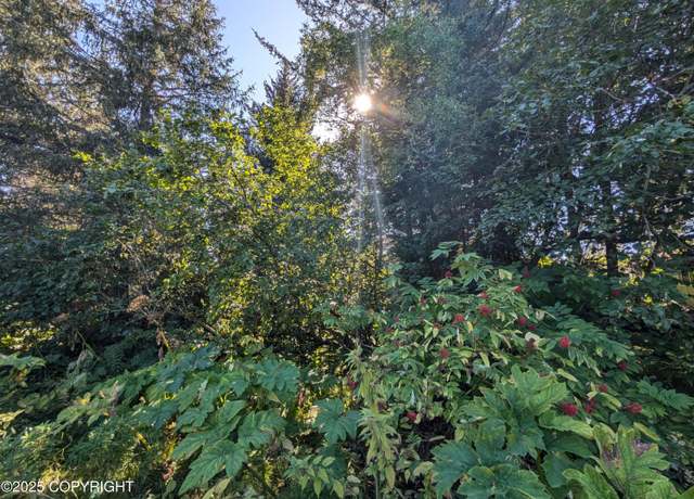 Property at 421 Soundview Ave, Homer, AK 99603