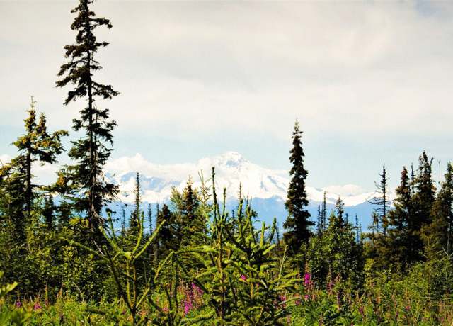 Property at D23 Alaskan Wildwood Ranch(r), Nikolaevsk, AK 99556
