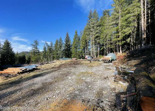 Property at L2B9 Huckleberry Dr, Naukati Bay, AK 99950
