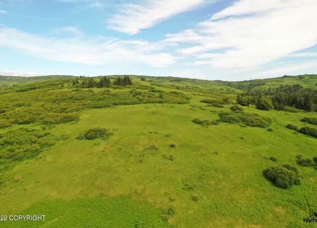 Property at E2 Alaskan Wildwood Ranch(r), Nikolaevsk, AK 99556