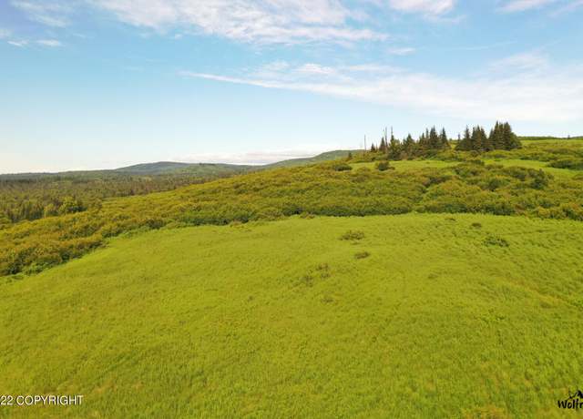 Property at E3 Alaskan Wildwood Ranch(r), Nikolaevsk, AK 99556