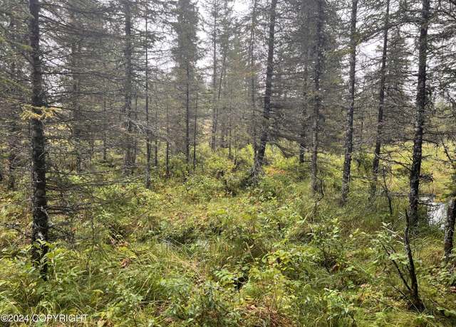 Property at L2B4 Old Sterling Hwy, Anchor Point, AK 99556
