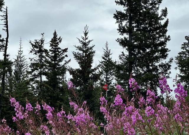 Property at 40022 Skookum Rd, Homer, AK 99603