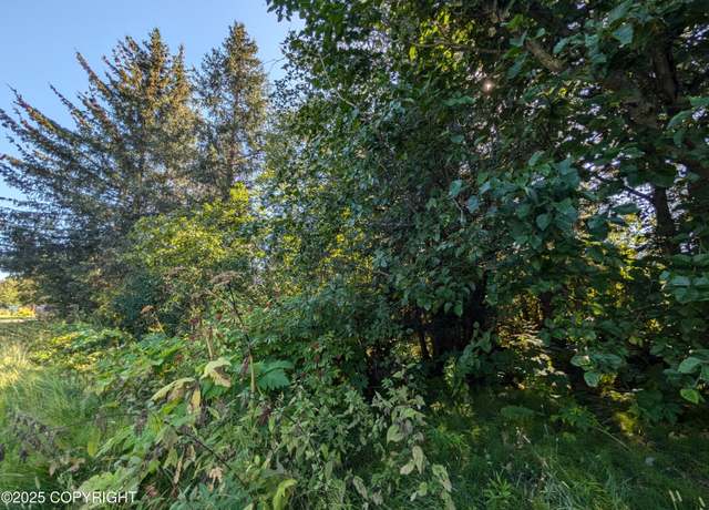 Property at 435 Soundview Ave, Homer, AK 99603