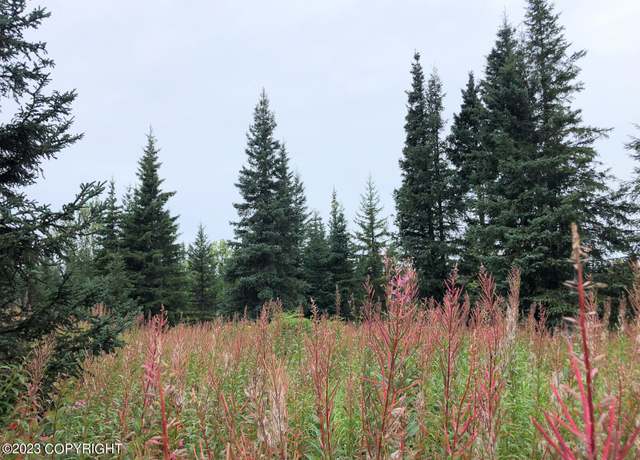 Property at W3 Alaskan Wildwood Ranch(r), Nikolaevsk, AK 99556
