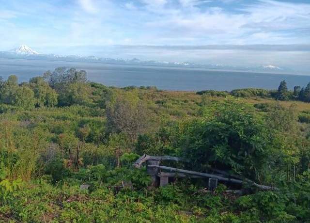 Property at 11949 Sterling Hwy, Ninilchik, AK 99639