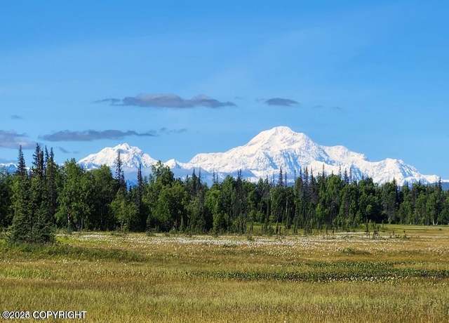 Property at Tr B No Road Trail Gate Crk, Trapper Creek, AK 99683