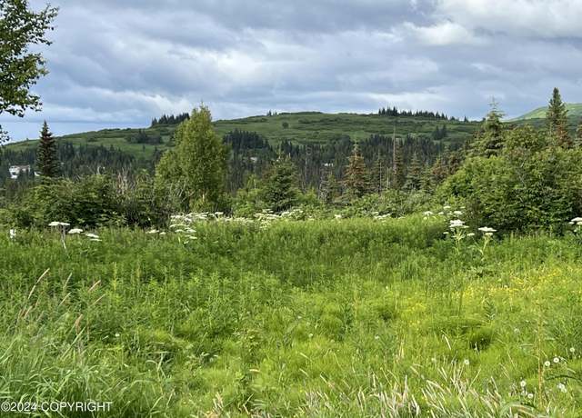 Property at 64985 Nikolaevsk Rd, Nikolaevsk, AK 99556