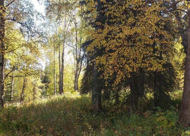 Property at 35850 Isbell St, Soldotna, AK 99669