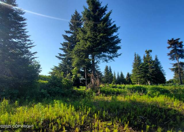 Property at 17619 Chefornak St, Ninilchik, AK 99639