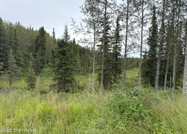 Property at 18242 Loveall Loop, Clam Gulch, AK 99568