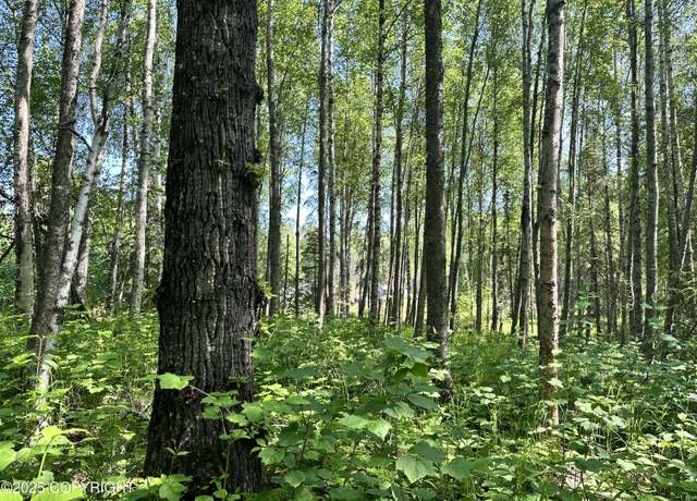 Property at 15282 W 5th St, Wasilla, AK 99623