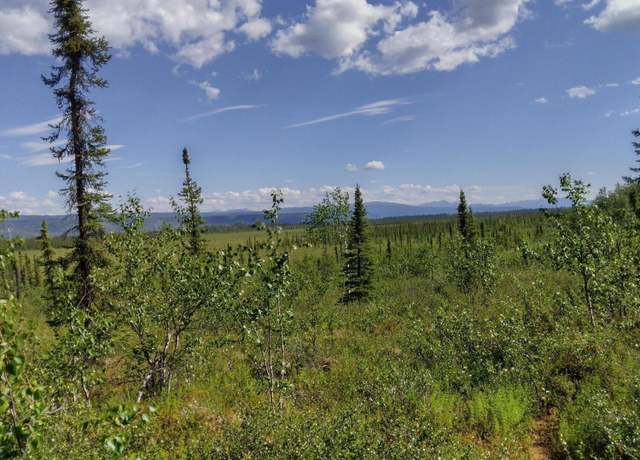 Property at Mile 272 Parks Hwy, Healy, AK 99743