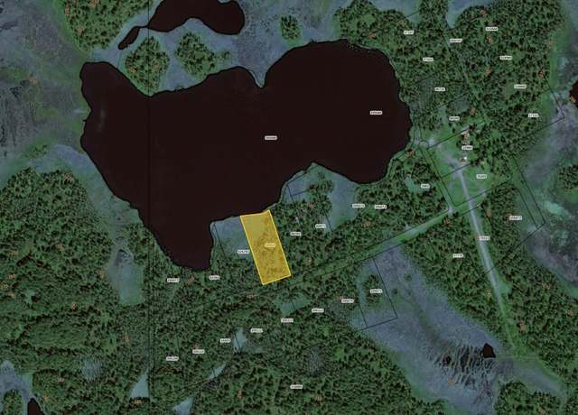 Property at L4 B4 Skewntna Flats ASLS 80-126, Skwentna, AK 99667