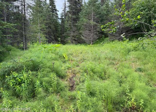 Property at 73717 Breakaway Rd, Anchor Point, AK 99556
