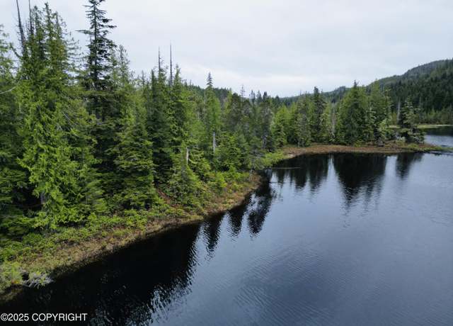 Property at L4B4 Setter Lake Rd, Thorne Bay, AK 99919