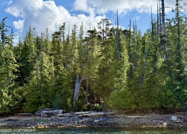 Property at L8 B2 Gravina Is, Ketchikan, AK 99901