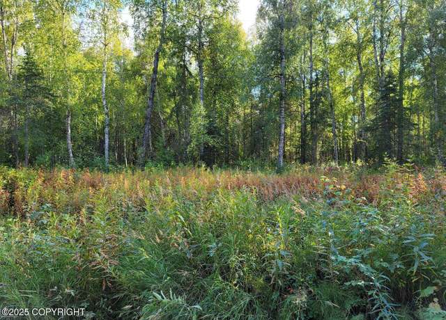 Property at 14500 N Susitna Landing Rd, Willow, AK 99688