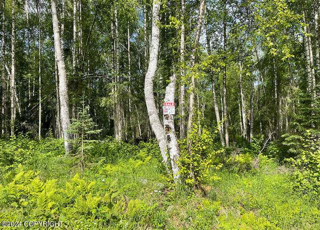 Property at 48484 S Grizzly Bear Cir, Willow, AK 99688